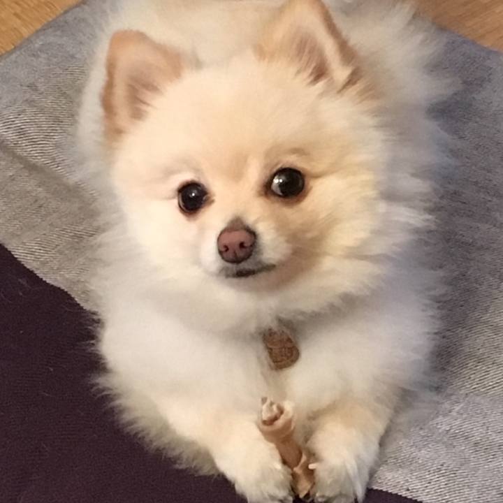 531b88f4 d9f4 48ff a2d2 bdf1d3b483cc 1554028539095