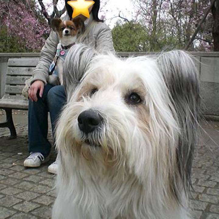 531ba57e 6670 4c84 b795 be52db94a910 1534557778163