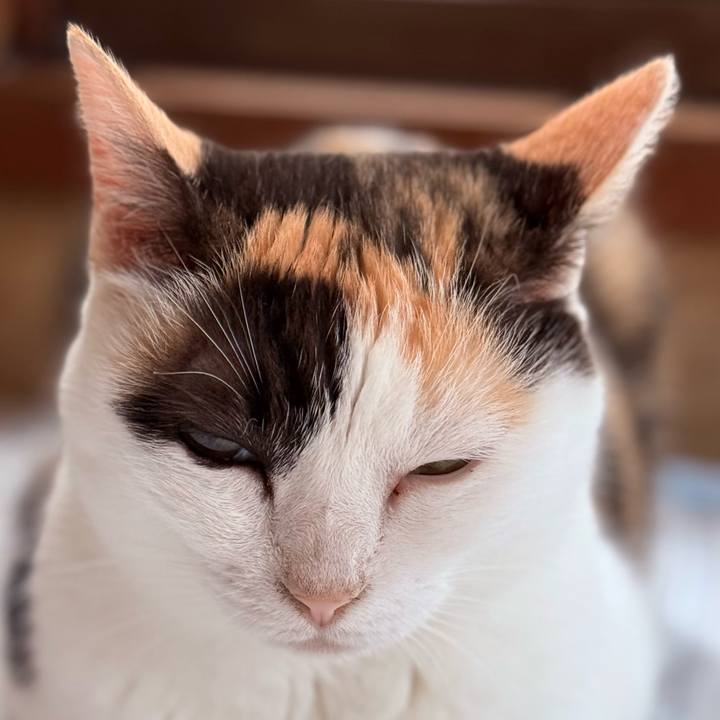 531bc1c4 be8e 4597 beaa 63c734e7868c 1758333124472