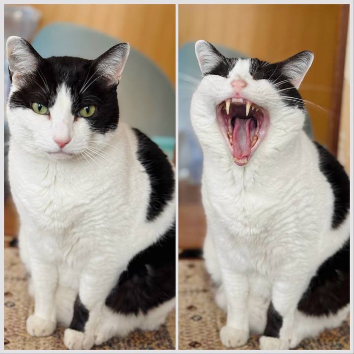 531c1fc5 5c66 49db 898e c72e6cc0176e 1774141183840