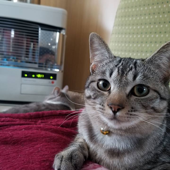 531c2d90 b9d3 4c57 90f8 1548bc4d72b0 1677042268240