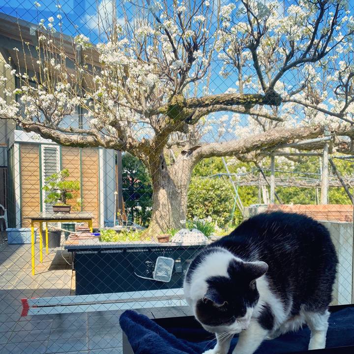 531c2da3 7ac2 4914 a6cf 1b75ae180a08 1585801904787