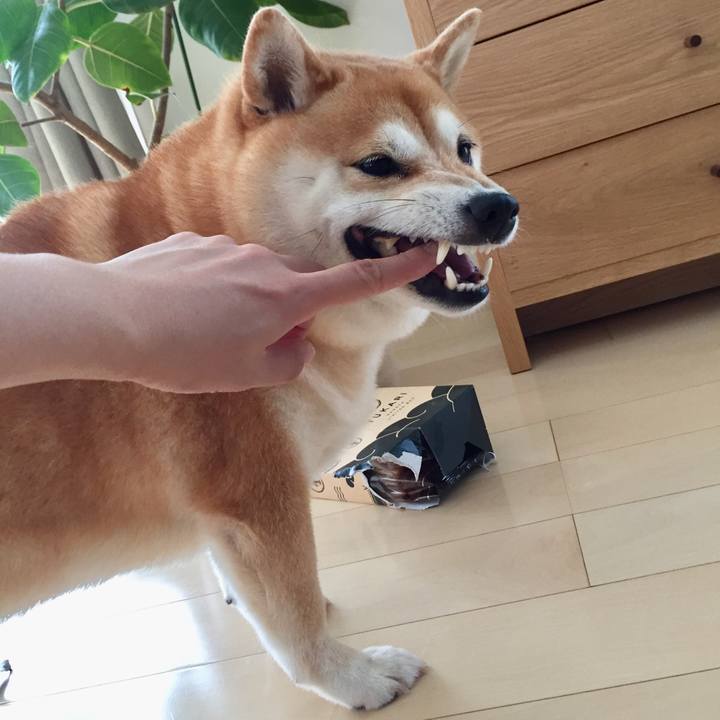 531c44b6 ddfe 4780 8b33 631df333354e 1534060460576