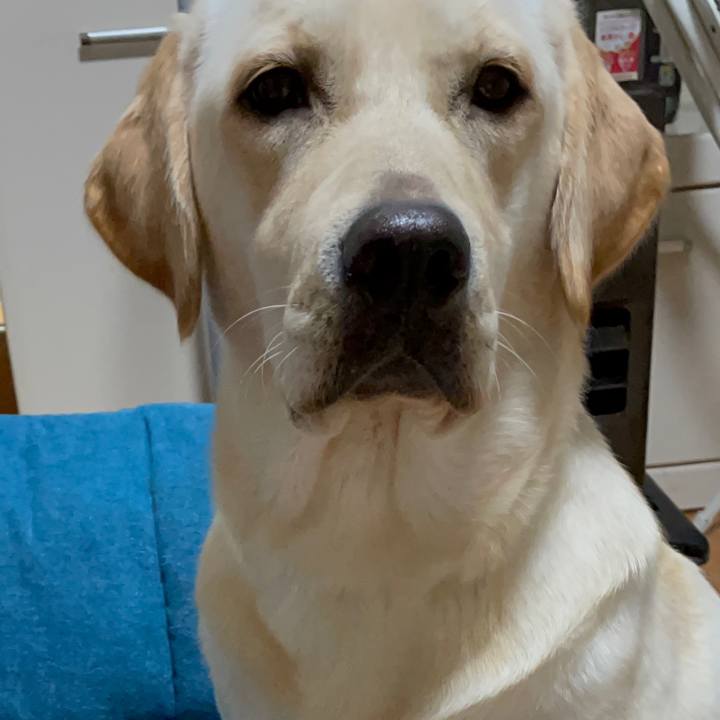 531c4555 c466 4f3f b6d1 2bb9e044a5a7 1638101893078