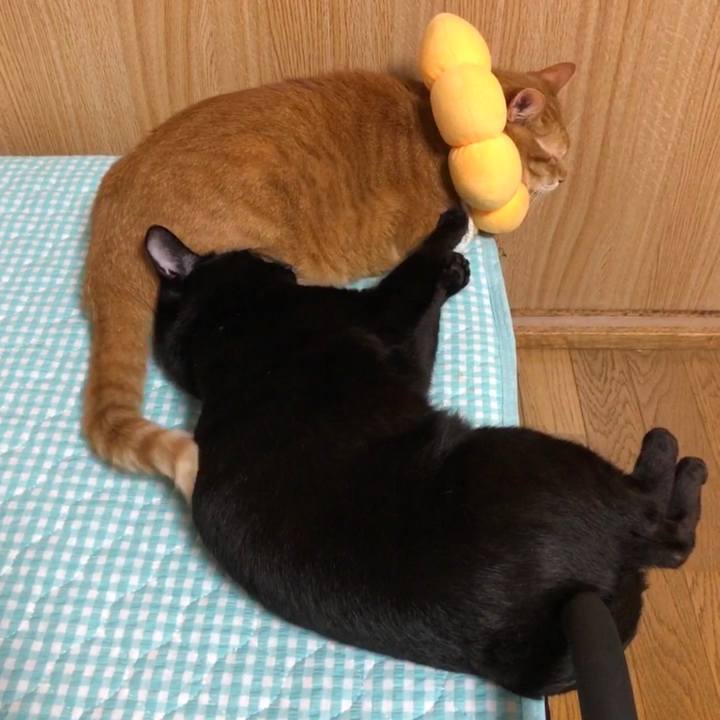 531c52d8 401d 49cd a623 5e8a3df15d4f 1659819960040