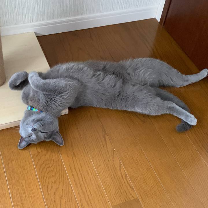 531c5af4 543f 4026 8612 d7a1a30dea95 1661209288050