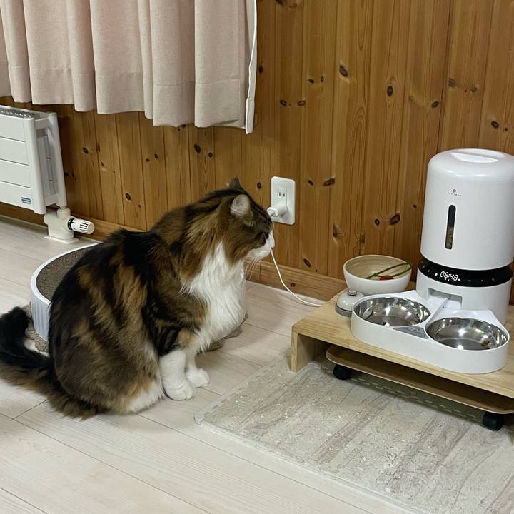 531c6e17 abf9 4bf2 a206 99320e3ebf3d 1765489777641