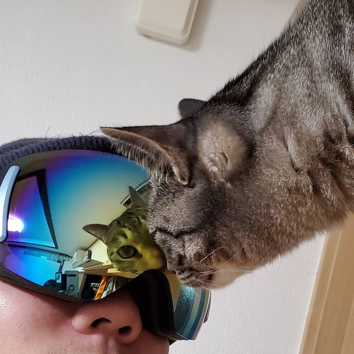 531cbc29 7748 4348 a6f8 e65b3266f09e 1705635901401