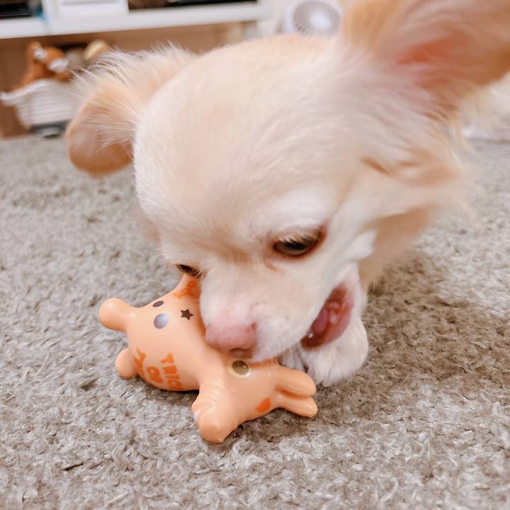 531cc4df b027 4194 8f55 84edcb6c391d 1664957645590