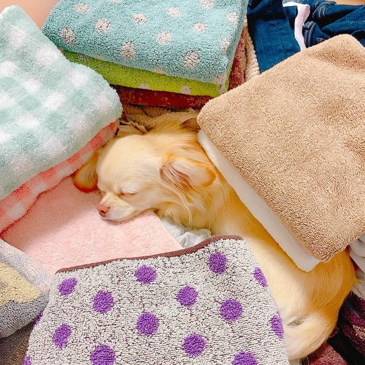 531cd271 c331 4183 aa7d a350c1487bdb 1622022777222