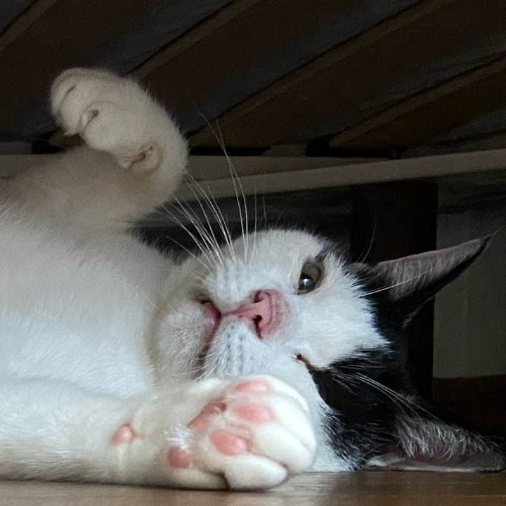 531d01d0 56c7 497c bb2e 7c794ad1f079 1597640994661