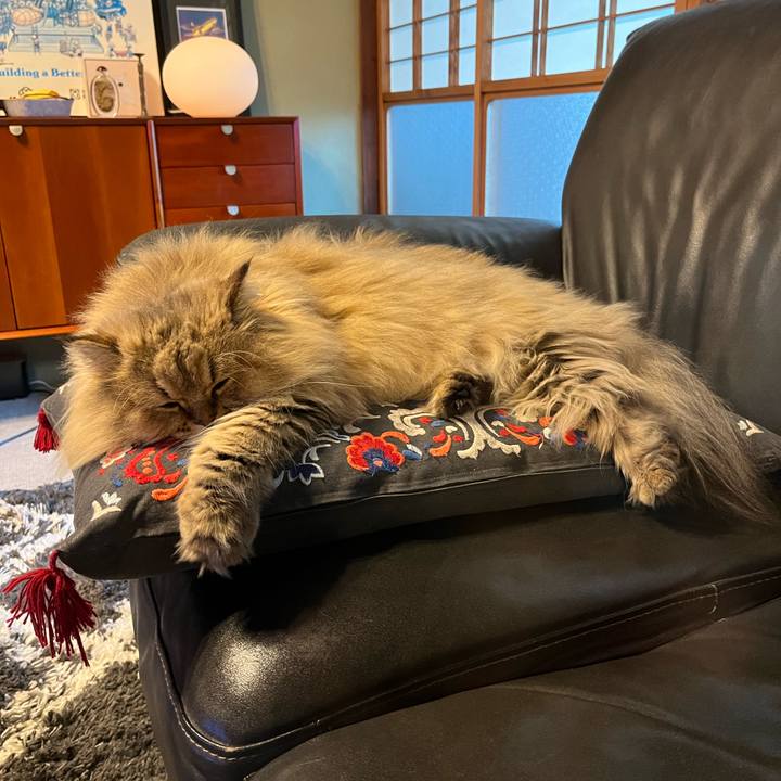 531d610d 73e7 4b7d bf83 94fcba7dc670 1637840124537