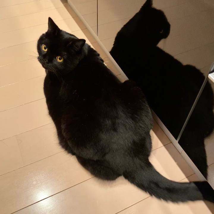 531d6913 4a9c 4ec2 a34d a19ea42a4c42 1699521889133