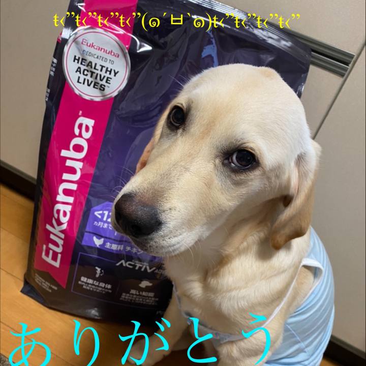 531d8ec5 70e1 46b4 94ab a85fe544902b 1618562275674