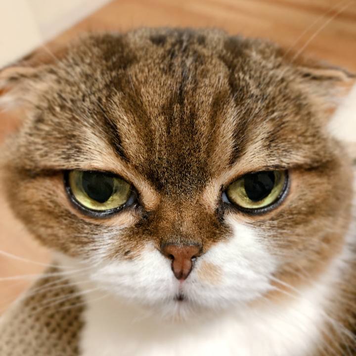 531dba36 152b 479c b182 b42b1f7977b4 1596633034292