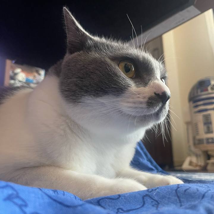 531dc232 77a1 446c aa9b 20817e574549 1723590536870