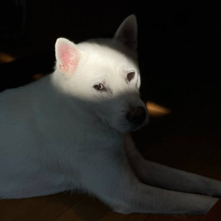 531dfaab 6501 4d38 a33d 50cb48f33233 1635380145316