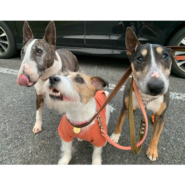 531e0890 df52 412d b5f9 b2c895f62899 1617969723545