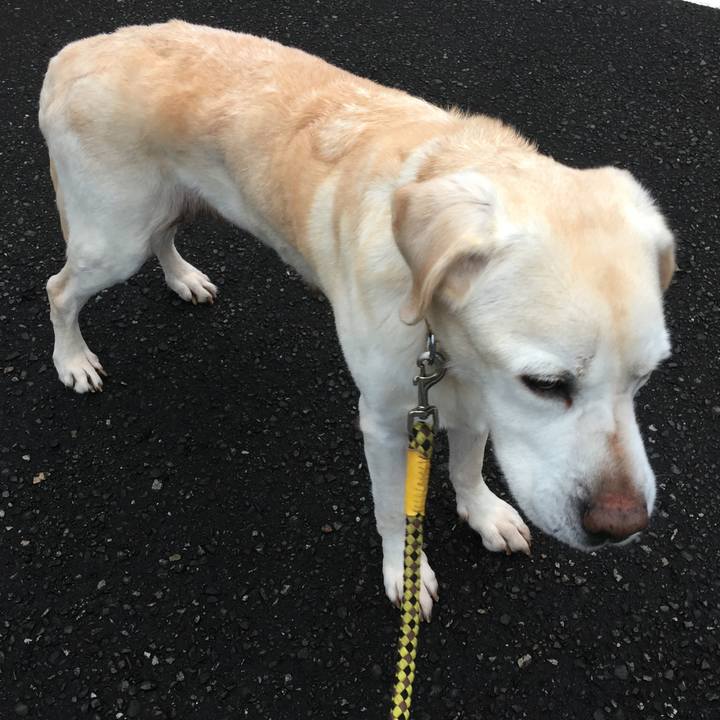 531e4644 f709 4826 9070 e274520bb920 1544004154880