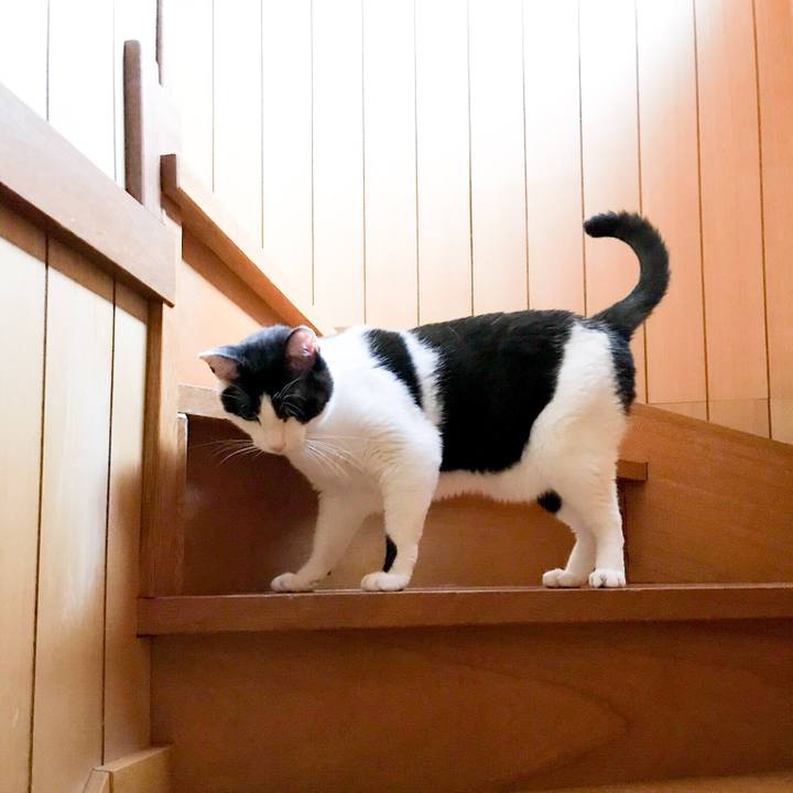 531eb313 abbf 4515 9aa3 f289f6340a0a 1530756601536