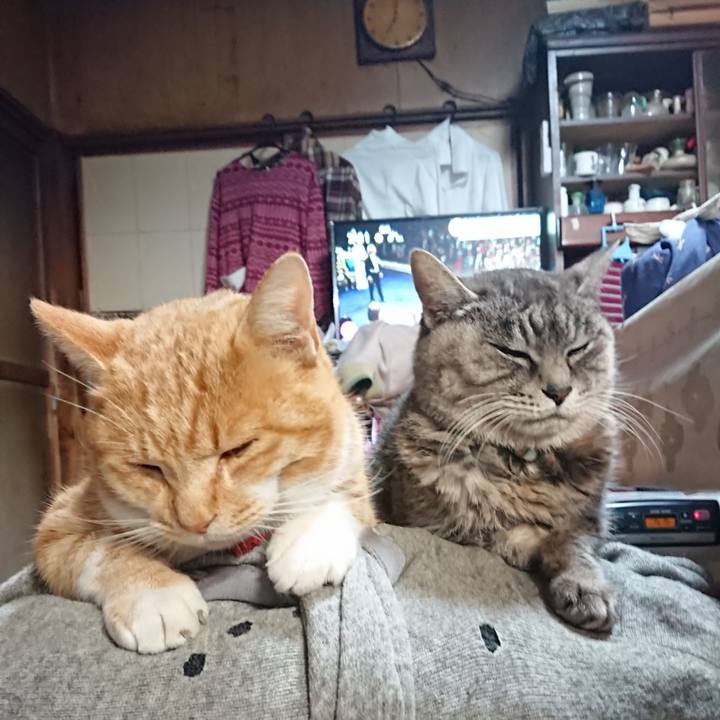 531ebb08 2a71 4bdf be3d 2f35e2be27a3 1576021555856