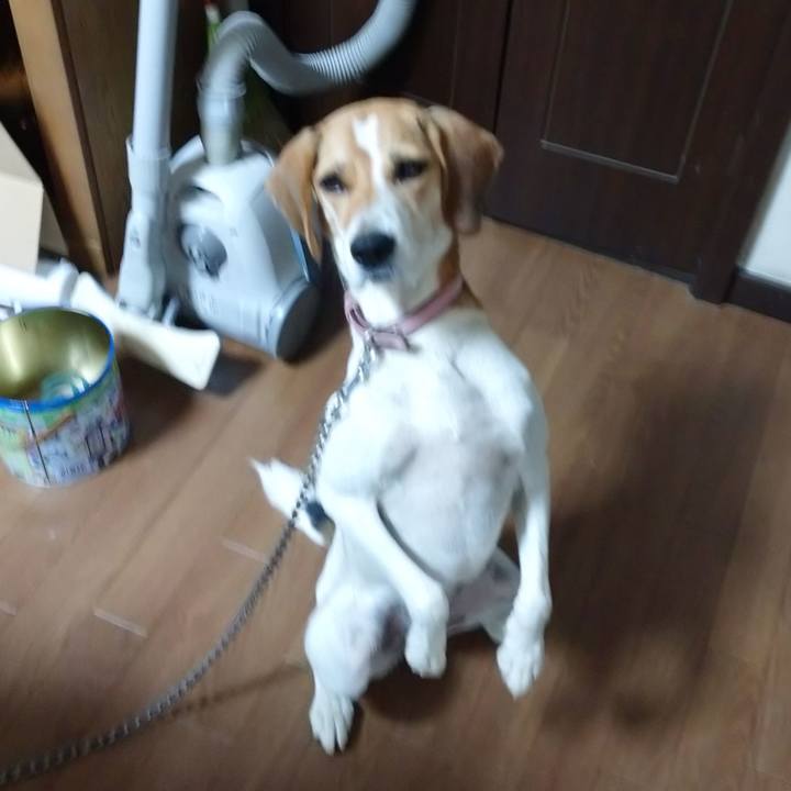 531edd9d be7a 4500 b586 6537b71abd4a 1598233922006