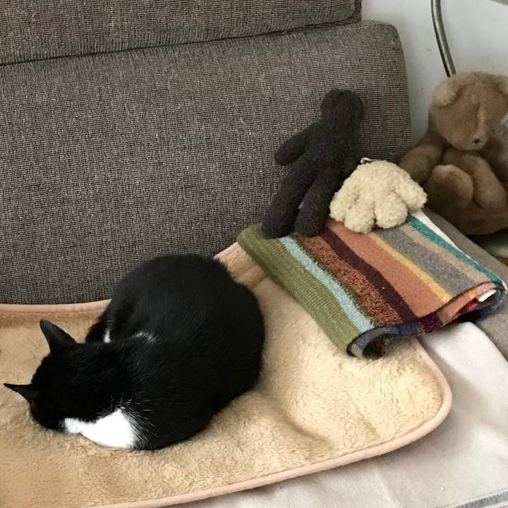 531f0146 8982 462d aa73 38383c496b70 1517797455983