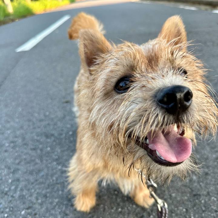 531f5545 b379 4a99 b551 b3501f45e65f 1721695012894