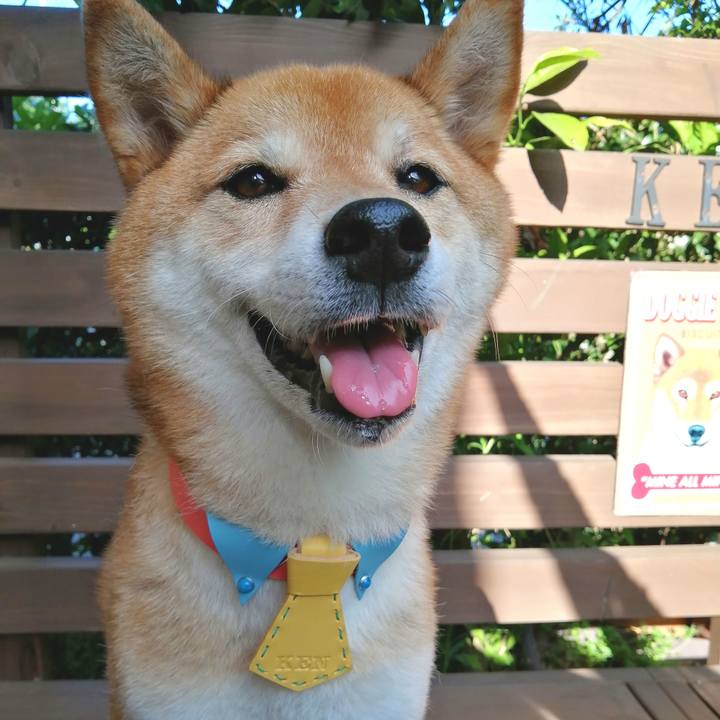 531f70ae b556 43e3 ae3a 9fb369099108 1658047915709