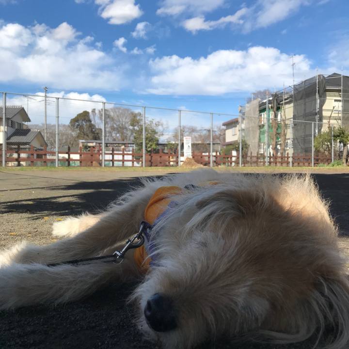 531f7ae3 2499 4ee3 83a3 12af9d4e8a8a 1552280546938