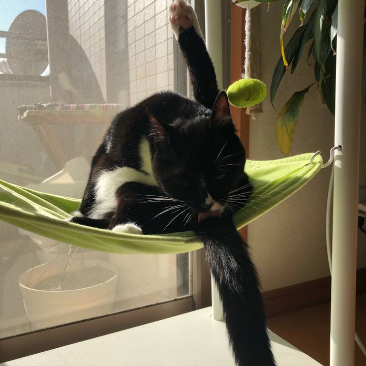 531f89ea bc4f 4811 8991 1afb1dce6add 1547765284271