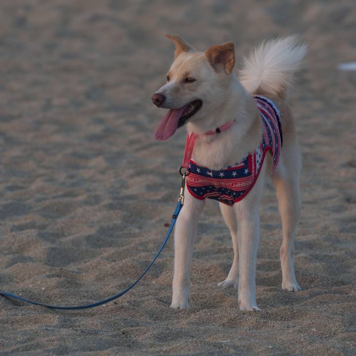 531fb7e2 ca8a 412b a645 2a73ff3863c0 1531870532718