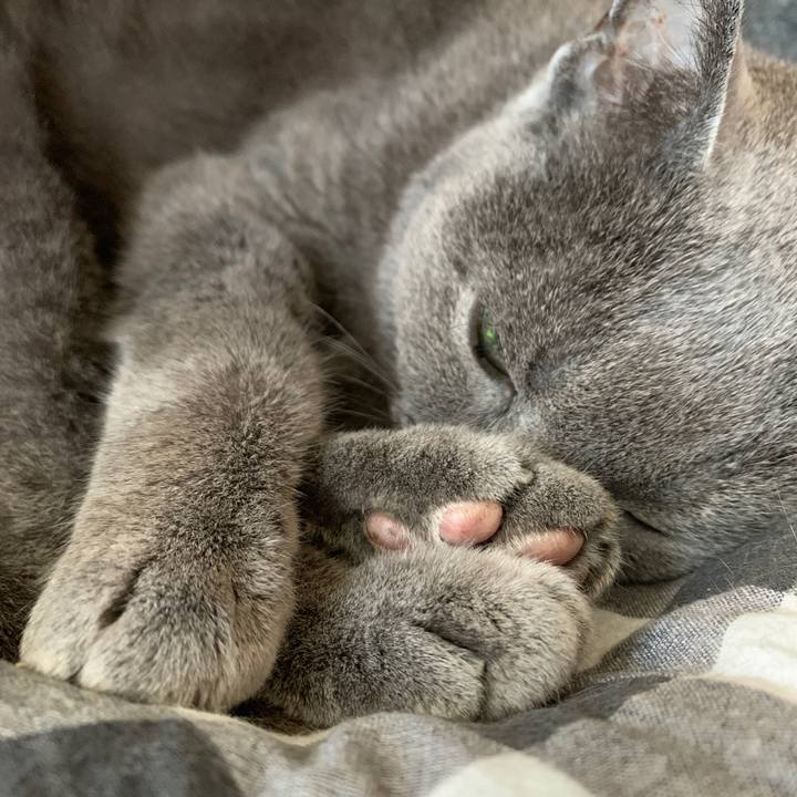 5320697a a88a 49df 81cf b55dc68a8ffc 1569364261756