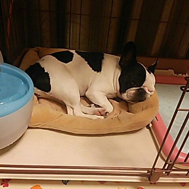 53207060 8a52 4cad 9621 942a4f293ff6 1511094864878