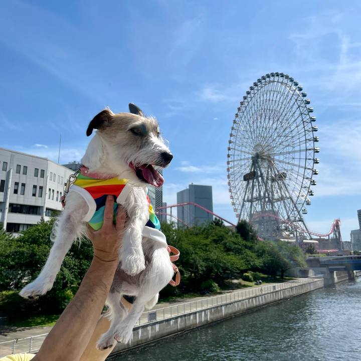 5320b132 7a07 407a 832d 536aca817d89 1683121811136