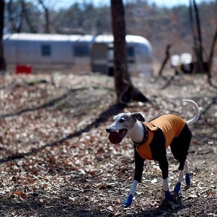 5320bc68 087a 48a1 aac1 ba32074356cd 1524222364730