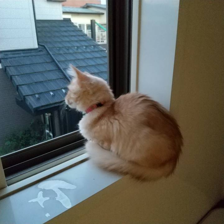 53213c14 108e 4589 a3e7 ab33397bef1b 1607377485919