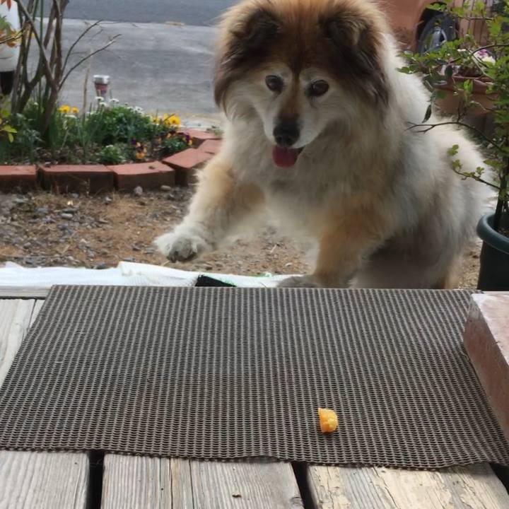 53214271 57e1 4f71 83cc cc479b91137b 1659439665804