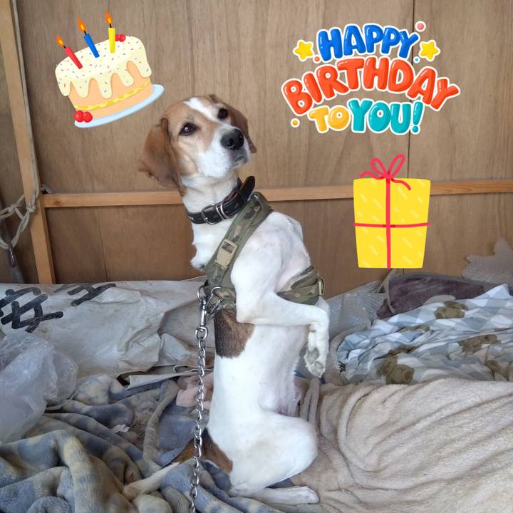 53217acb 4b51 424d 9953 dd173a39ad6a 1699004382953