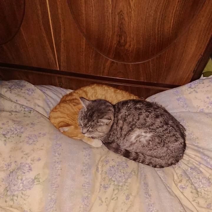 532183ae c88d 4104 8ddb 8493dfd1214e 1580225631827