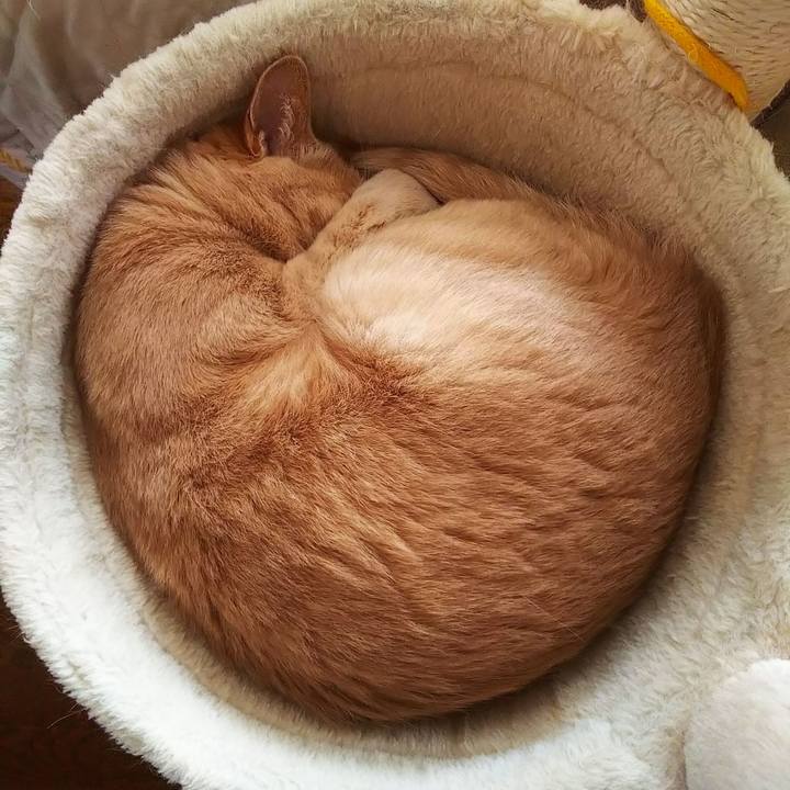 5321a309 25ec 47ea bca8 93c43bb7e598 1657942863018