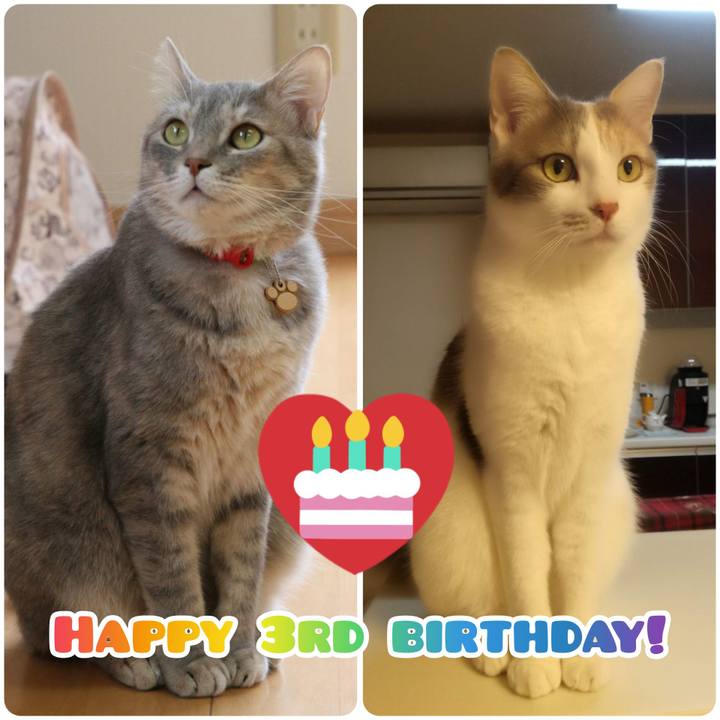 5321b514 2950 4c79 a05a 151858d60ebe 1560467354399