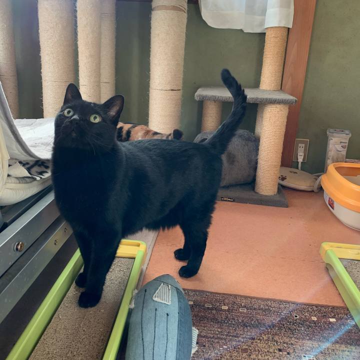 5321f12b 53eb 446e b874 736cc95a2269 1578269098348