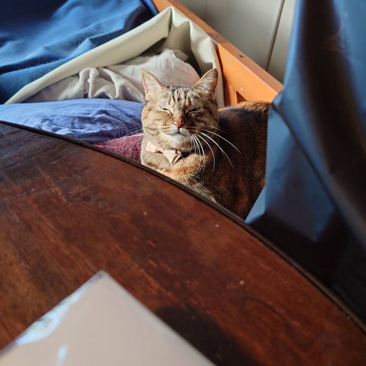 53221197 b133 4888 aaed 48cc0929867c 1768346473891