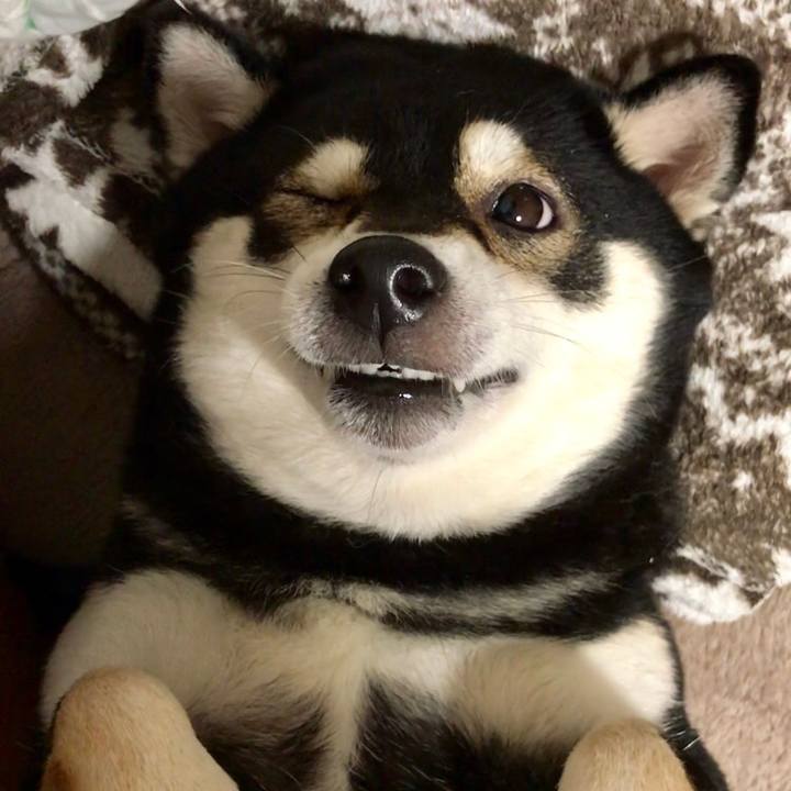 53223ffc 0fe1 4d8b ab0a 381adadb7965 1542638720543