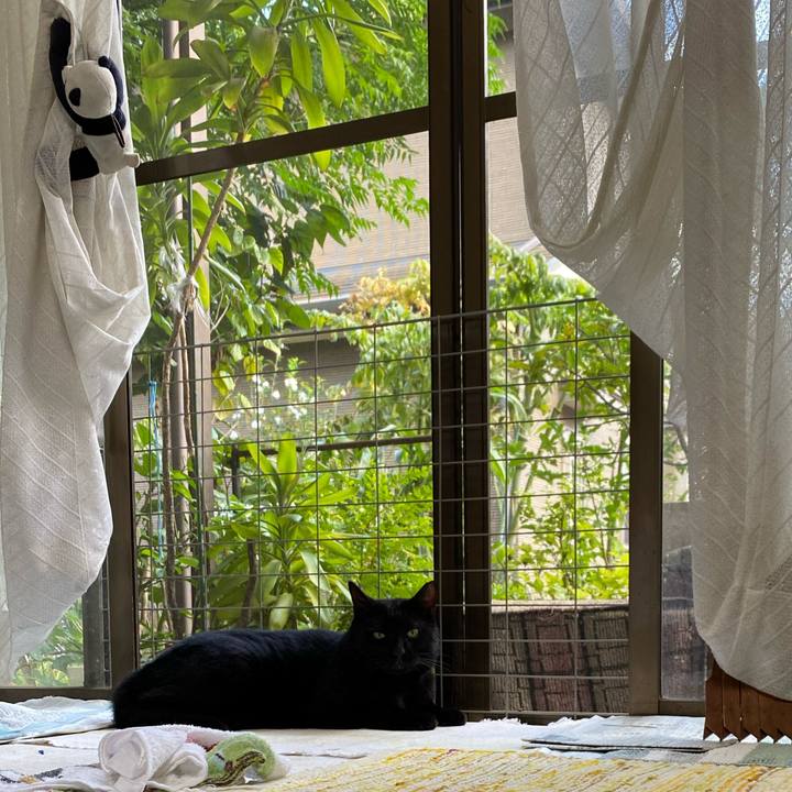 53225cb8 240a 4b0e 92ca 785127c4a8e9 1693129862338