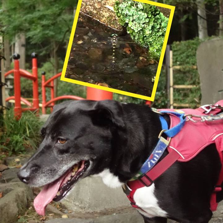 532274d1 2510 485d bf8b acc326877479 1690847981106