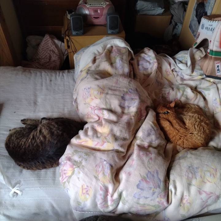 532300e5 f08a 4de2 a101 8164ad25c778 1686797787393