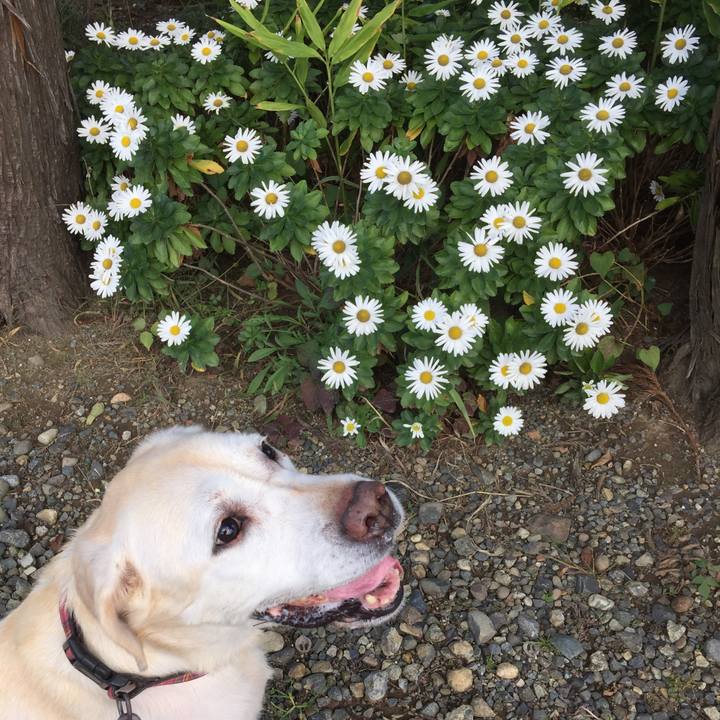 5323515d 116a 499f 9ebd 4187bbbc216e 1508218550284