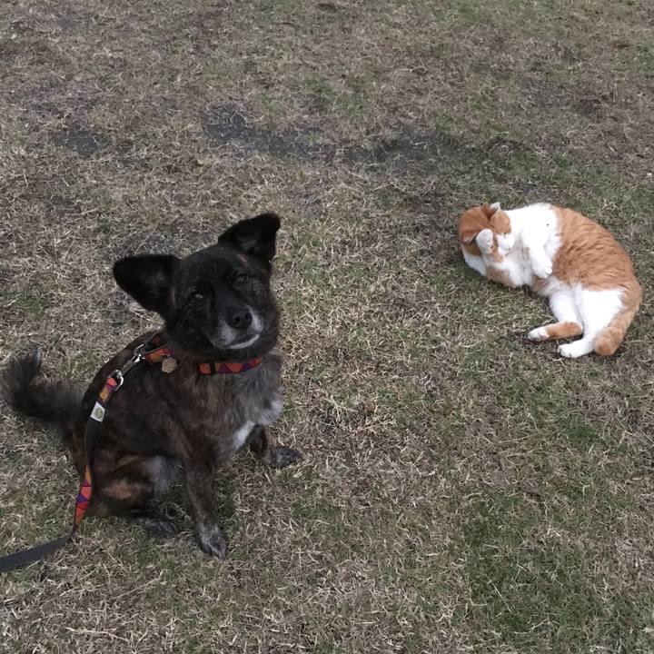 53236cc3 ce9e 4267 8205 4f2c44a2434a 1509845970710